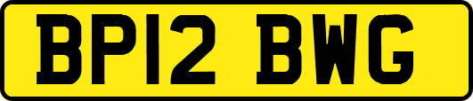 BP12BWG