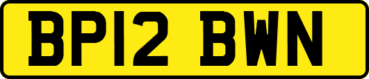 BP12BWN