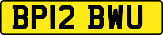 BP12BWU
