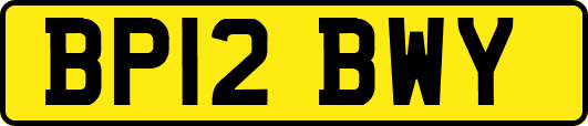 BP12BWY