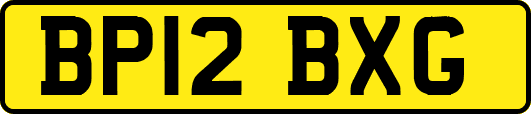 BP12BXG
