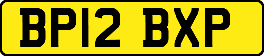 BP12BXP