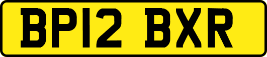 BP12BXR