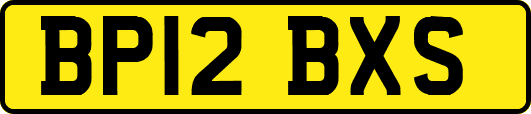 BP12BXS