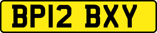 BP12BXY
