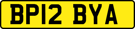 BP12BYA