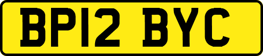 BP12BYC