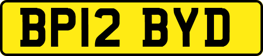 BP12BYD