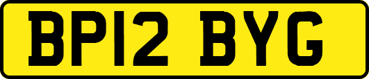BP12BYG