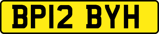 BP12BYH