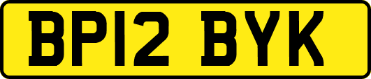 BP12BYK