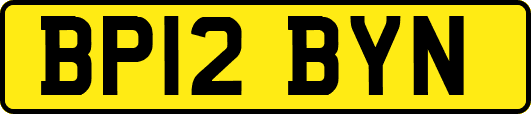 BP12BYN