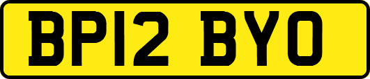BP12BYO