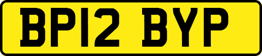 BP12BYP