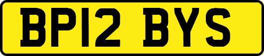 BP12BYS