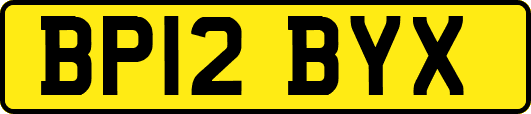 BP12BYX
