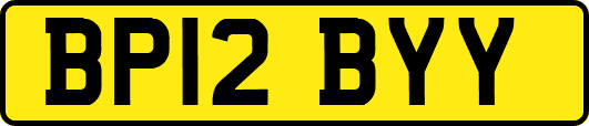 BP12BYY