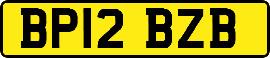 BP12BZB