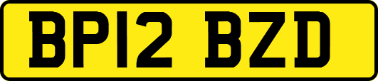 BP12BZD