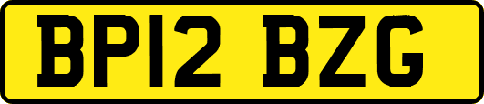 BP12BZG