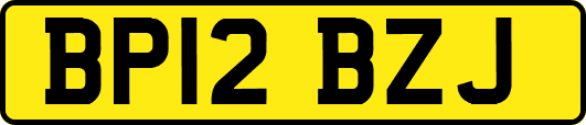 BP12BZJ