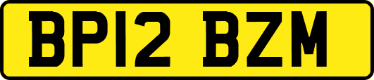 BP12BZM