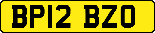 BP12BZO