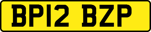 BP12BZP