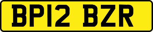 BP12BZR