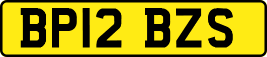 BP12BZS