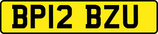 BP12BZU