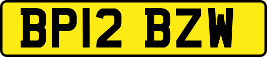 BP12BZW