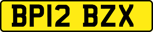 BP12BZX