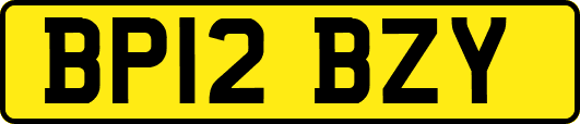 BP12BZY