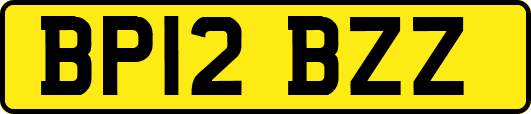 BP12BZZ