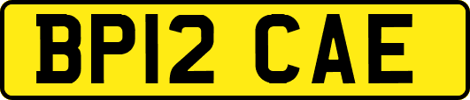 BP12CAE