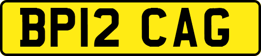 BP12CAG