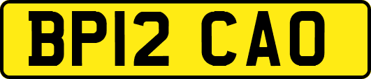 BP12CAO