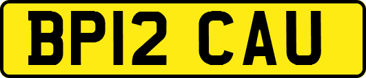BP12CAU