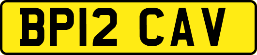 BP12CAV