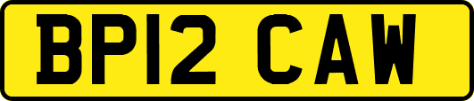 BP12CAW