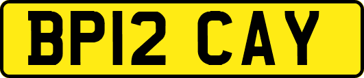 BP12CAY