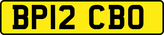 BP12CBO