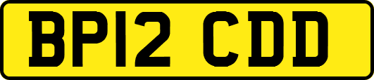 BP12CDD