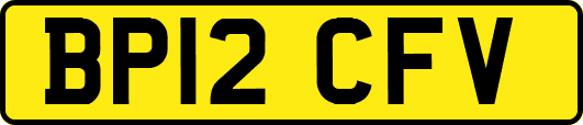 BP12CFV