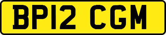 BP12CGM