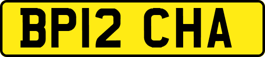 BP12CHA