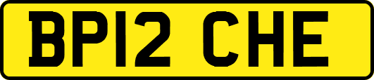 BP12CHE