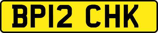 BP12CHK