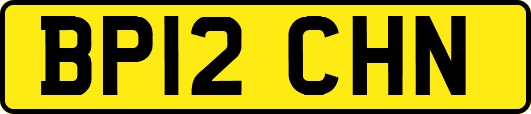 BP12CHN